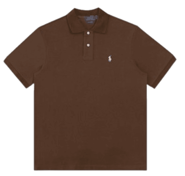 RALPH LAUREN POLO ( 7 COLOURWAYS )