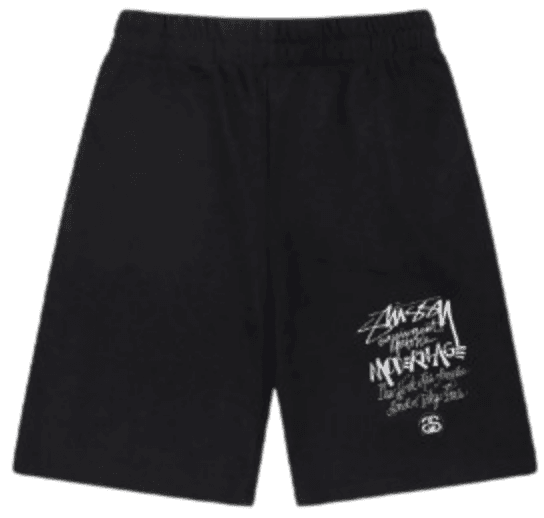 STUSSY SHORTS ( MANY STYLES )